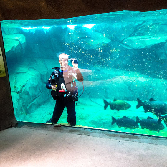 AQUARIUM CLEANING