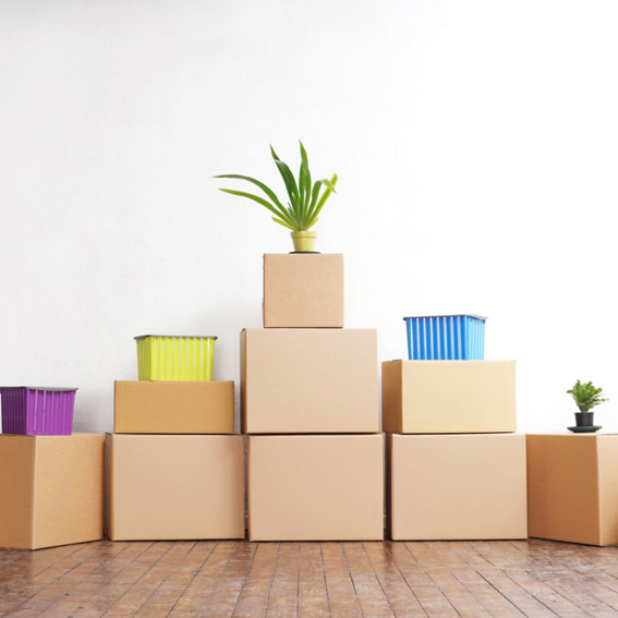 MOVE IN / MOVE OUT
